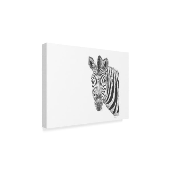 Let Your Art Soar 'Zebra Line Art' Canvas Art,24x32